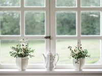 ¿Cuál es el vidrio perfecto para nuestras ventanas?
