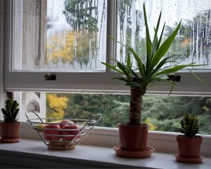 Elimina la humedad de tu vivienda con unas nuevas ventanas