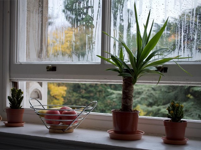 Elimina la humedad de tu vivienda con unas nuevas ventanas